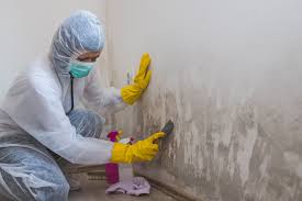 Best Industrial Mold Remediation  in Glenpool, OK